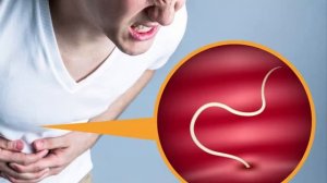 Глисты у человека, фото, симптомы, лечение  Признаки гельминтоза