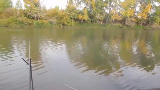 РЫБАЛКА НА ИРТЫШЕ. смотреть онлайн