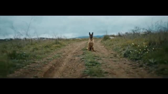 Самая смешная реклама. Сборник смешных рекламных роликов #18. ЗАЧЁТНАЯ РЕКЛАМА. смотреть онлайн