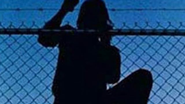 Монтажная фраза. Лузина