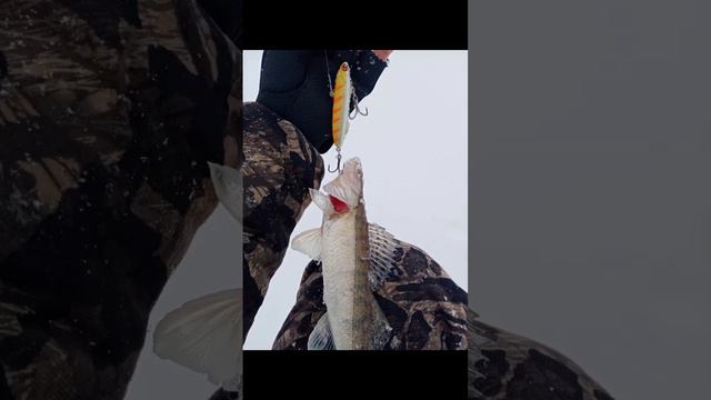 Охота и рыбалка в Пермском крае!!! смотреть онлайн