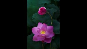 Hariprasad Chaurasia - Рага Дурга