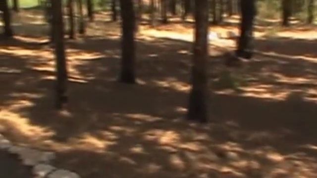 Стража Сиона в Кирьят Шмоне смотреть онлайн