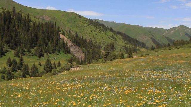 Mountains. Kazakhstan. Казахстан, природа, горы, водопад. смотреть онлайн