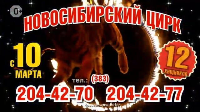Цирк Новосибирск смотреть онлайн