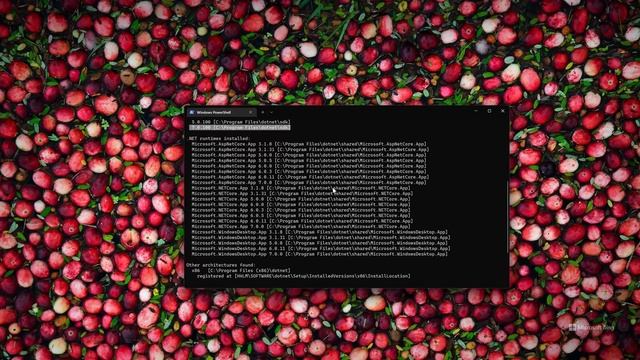 ASP.NET 7: A Getting Started With Any Operating System смотреть онлайн