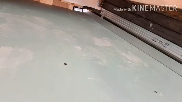 Новая ЛЕСТНИЦА в Доме на второй этаж ГОТОВА! Поклеили Обои... смотреть онлайн