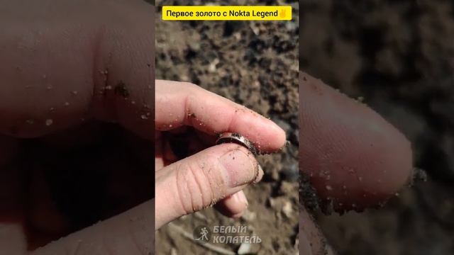 Первое золото найденное с Nokta Legend✌? смотреть онлайн