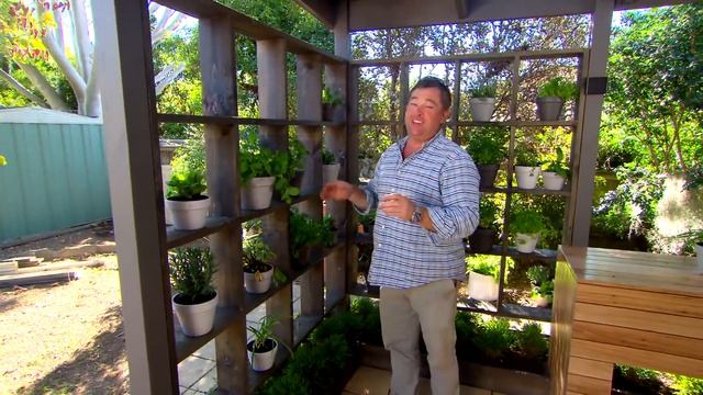 How To Create A DIY Green Wall | GARDEN | Great Home Ideas