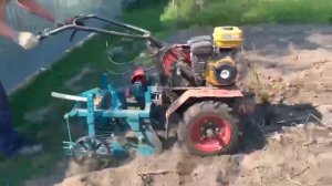 КАРТОФЕЛЕКОПАЛКА ККМ-1 МОТОБЛОК ОКА - УБОРКА УРОЖАЯ 2022 года.