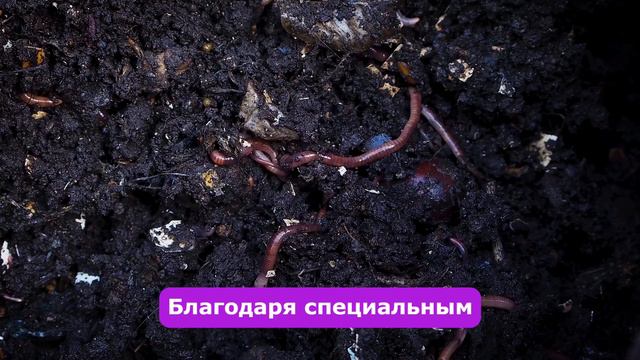 🌿 БиоГард: Защита от Сорняков для Вашего Сада! 🌱 смотреть онлайн