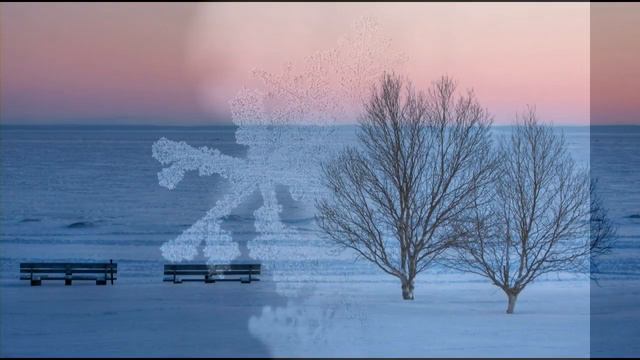 Winter - Adagio, Vivaldi, violin, guitar, electric bass - HD смотреть онлайн