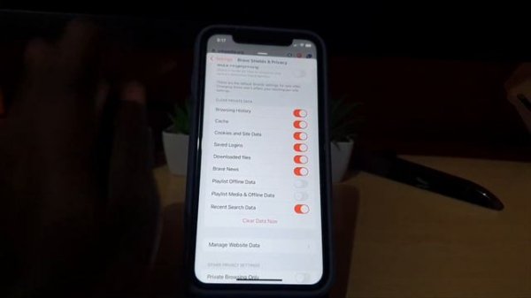 Brave browser clear cache iPhone