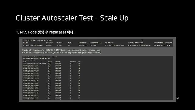 [온라인 무료 교육] NKS에서 Cluster & Pods Autoscaling 적용하기 смотреть онлайн