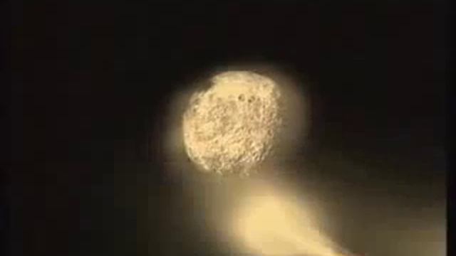 Алессандро Сафина Луна смотреть онлайн