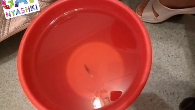 Зимняя Блесна ЭКСКЛЮЗИВ СПОРТ - очередной полет моей фантазии... смотреть онлайн