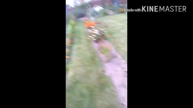 Когда мне скучно , я снимаю тупые видео:D смотреть онлайн