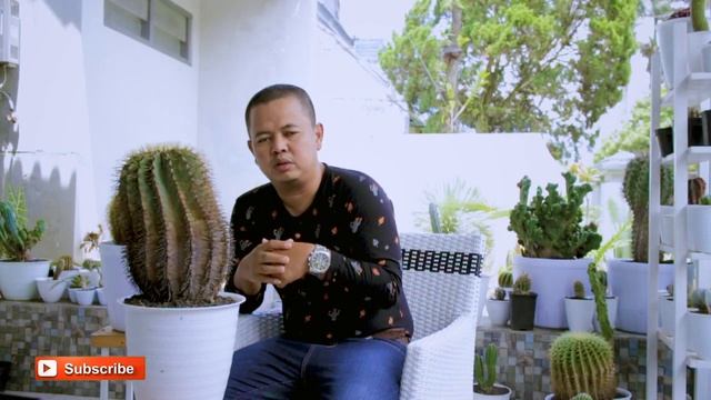 Ferocactus Glaucescens - Cactus Kaktus