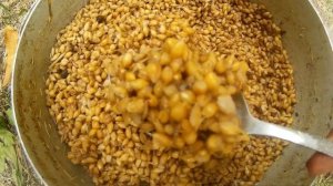 Петухи откорм Быстрый рост