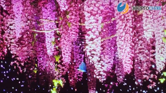 "ЭНЕРГОСНАБ" в Корейском культурном центре. смотреть онлайн