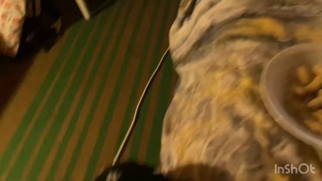 Влог/мой вечер/5 ноября/