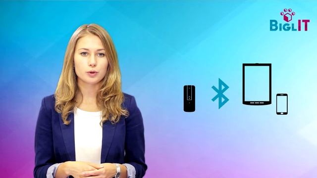 Оборудование BIGLit. Автоматизация склада без WMS смотреть онлайн