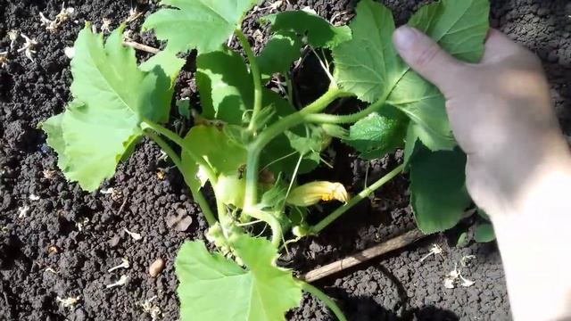 Стройка Хиты