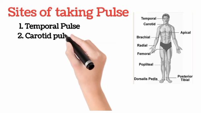 Vital sign| body temperature| pulse| Respiration rate| blood pressure|#vitalsign смотреть онлайн