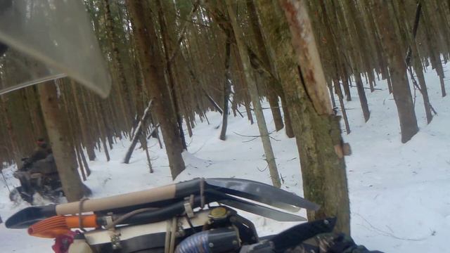ДВА гусь ЛАПЧАТЫХ !!! смотреть онлайн