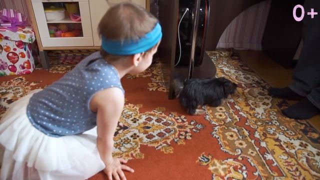 ДОБРО ПОБЕЖДАЕТ БОЛЕЗНЬ! Злата исполняет мечту больной раком девочки! смотреть онлайн