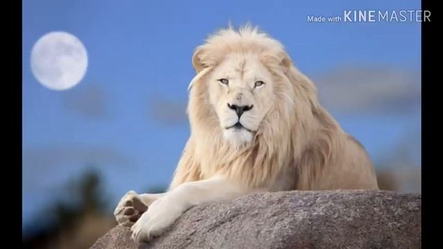 Классные обои на телефон (планшет)*1серия*/I raina смотреть онлайн