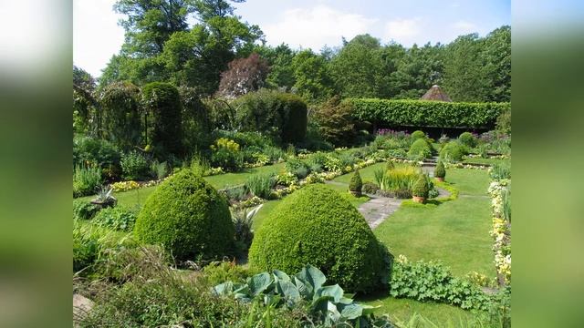 Ланшафтный дизайн: подготовительные работы смотреть онлайн