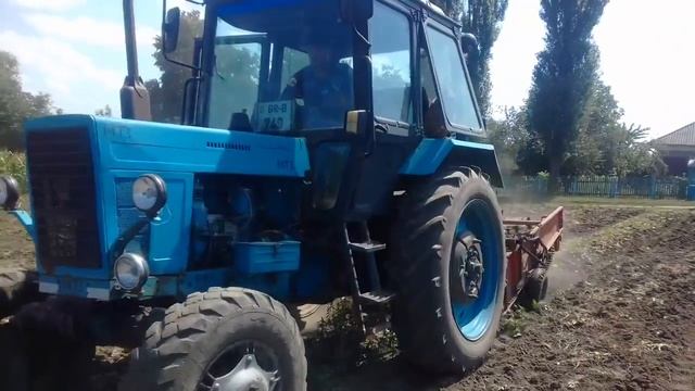 Копаeм картошку. Мтз 82.1 + картофелекопалка КТН-2 смотреть онлайн