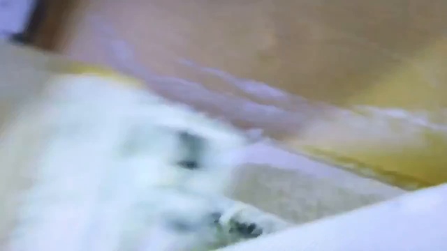 JELLY BEANS. ФАБРИКА JELLY BELLY