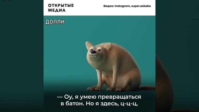 Московский приют запустил «сайт знакомств» с собаками смотреть онлайн
