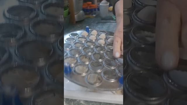 Обзор пельменницы RS и давилки для неё смотреть онлайн