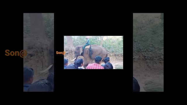 Mini Vlog - 6 #Tourist place in Bihar. # Valmiki Nagar...Part 1 смотреть онлайн
