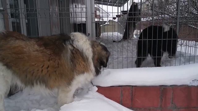 Джери смотреть онлайн