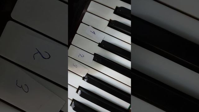 здесь мы научимся играть акулёнка на пианино смотреть онлайн