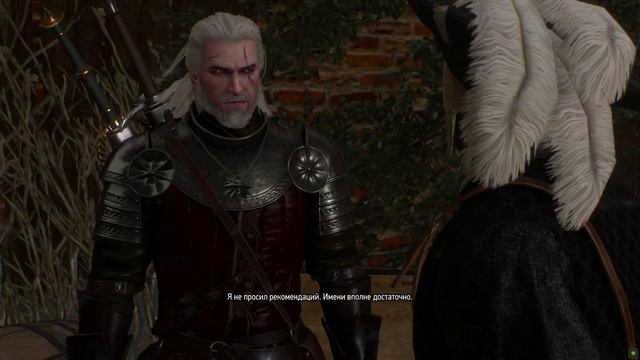 The Witcher 3 Wild Hunt прохождение/ Часть 19 смотреть онлайн