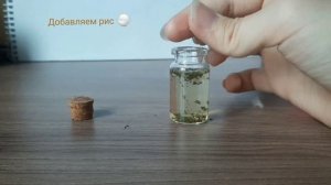 Зелье на удачу. Рецепт для начинающих травниц??☘️