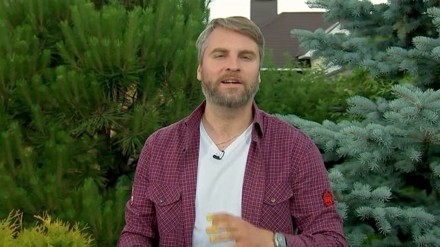 Сочная курица, угольный гриль. Рецепт на банке. смотреть онлайн