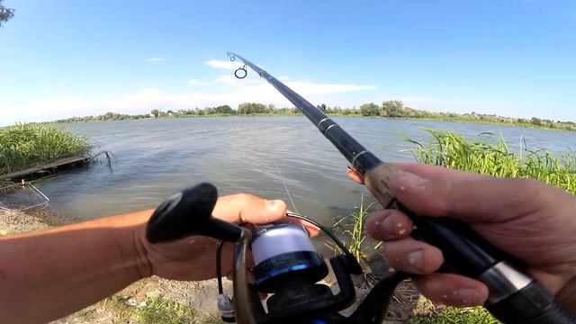 Как сработала кормушка 