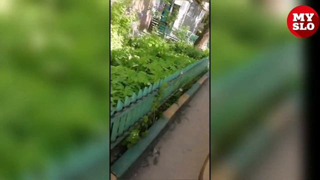 «Накажи автохама»: про дворовую принципиальность смотреть онлайн