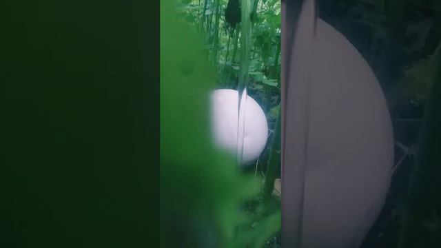 Рецепты на каждый день с Ариной