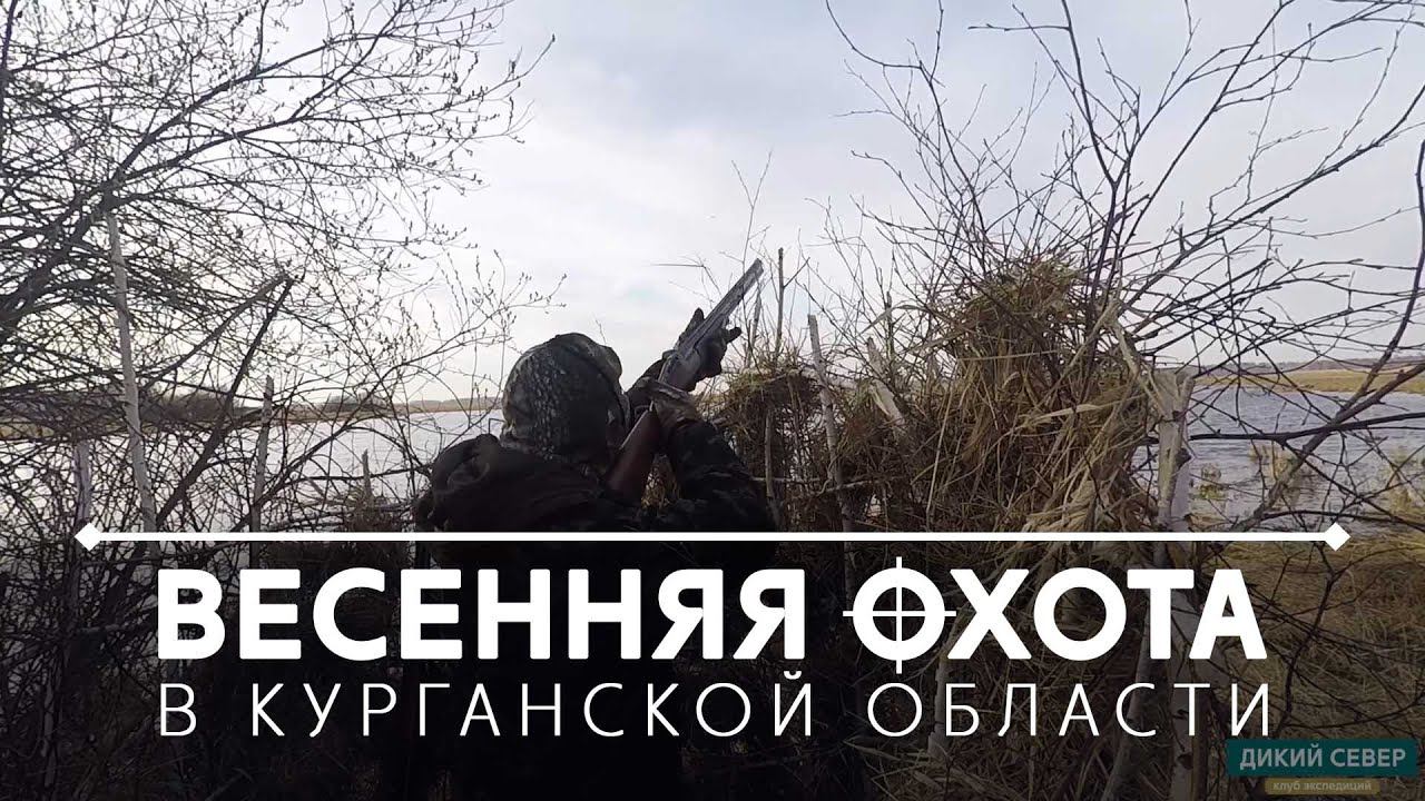 Охота на тетерева. Удачно открыли сезон 2019 в Курганской области! смотреть онлайн