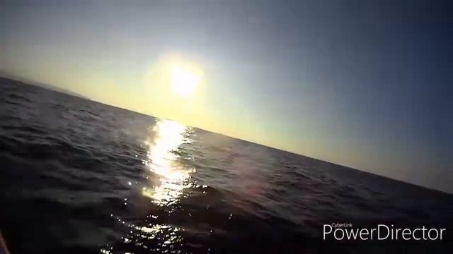 Самодельный арабский катерок с двумя движками Honda (Оригинальное видео ).Старый Акко.Израиль 2019. смотреть онлайн