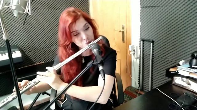 Темная ночь . Композитор Н. Богословский , слова В. Агатова. смотреть онлайн