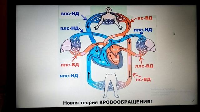 Молитва Иисуса. Дыхание. Кровообращение. Альвеола. смотреть онлайн
