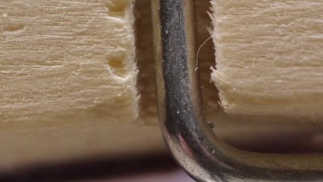 Yashica  Bellows  - ML 50mm 1:2  - Micro 4/3  Macro  Photography / Close-up